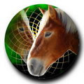Horse Full Color Stock Insert (2")